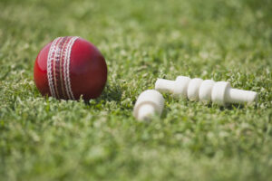 Huge partnership sinks South