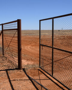 Images document dog fence journey