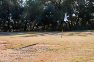 South golf results