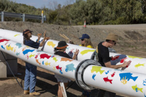 Pipe painting launched in Menindee