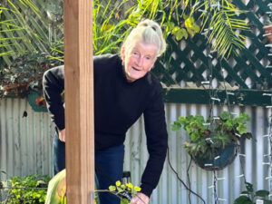 Plea for more funding for chronic pain telehealth service