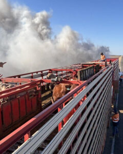 Truck fire dealt with