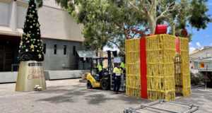 Plaza beginning to look a lot like Christmas