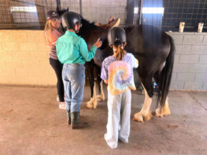 Collab effort to offer equine therapy