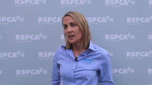 RSPCA advises dog owners ahead of NYE