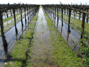 NSW irrigators face new hike