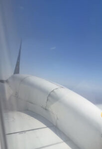 Engine failure prompts safety call for Rex