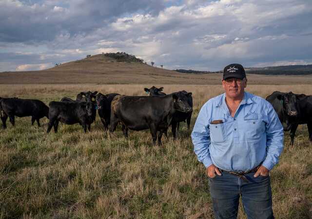 State’s primary industries excel